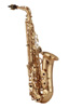 YANAGISAWA Eb ALTO SAXOPHONE A901